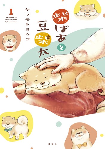 Yoko yamamoto shiba baato - yoko,