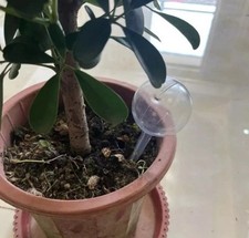 6 x Automatic Plant Water Feeders / Self-Watering Acrylic Bulbs  - Clear