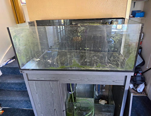 Reef pro 1200 - reef,