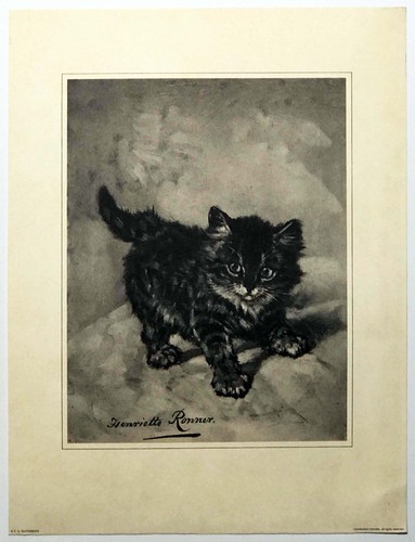 Rascal playful kitten by - playful,