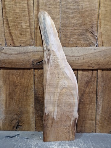 Cedar slab wood live - slab, edge