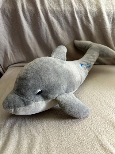 Dolphin explorer large - dolphin,