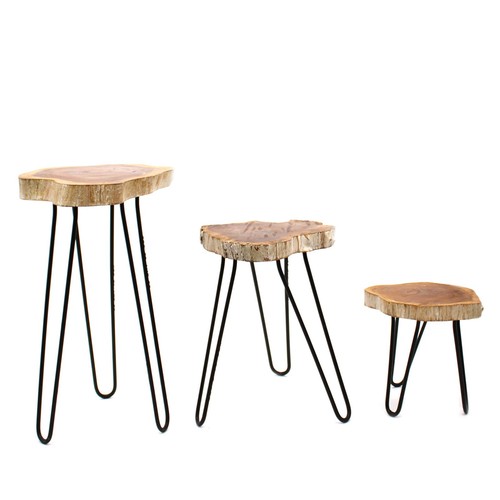 Set gamal wood plant - of,