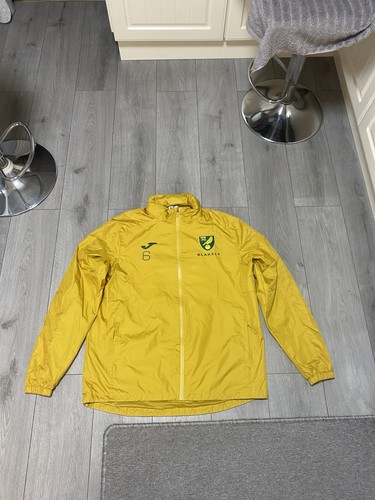 Norwich city match worn - match, harry