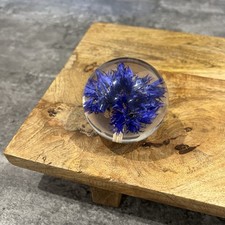 2004 Hafod Grange Dried Flower Paperweight Cornflower