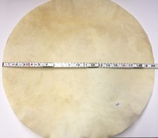 Natural Goat Skin Drum Head