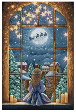 Counted Cross Stitch Kit 14 ct