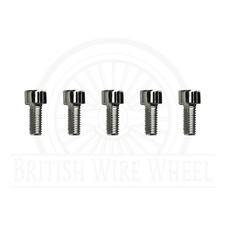 Chrome Face Plate Screws for