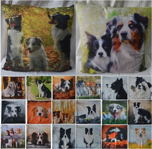 Border collie cushion - cover, 45