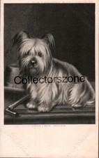 Skye Terrier Jock Printed Postcard unposted