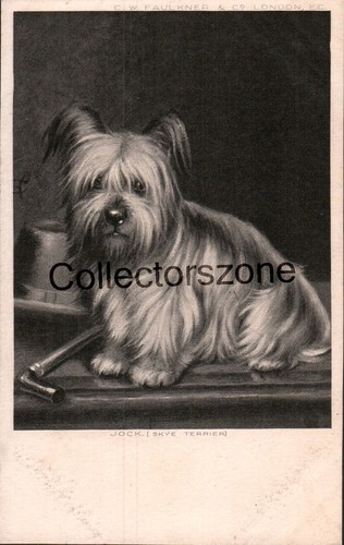 Skye terrier jock printed - skye,