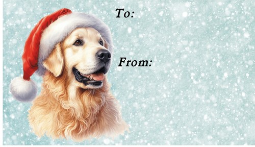 Golden retriever dog christmas - retriever,