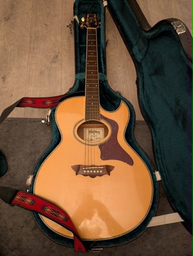 Washburn ea27 greg - ea27, allman