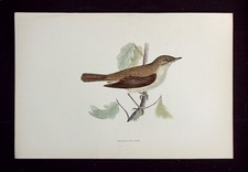 NIGHTINGALE, original antique