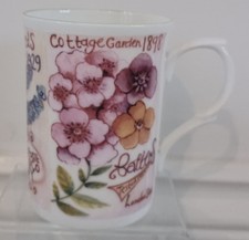 Rose Of England Fine Bone