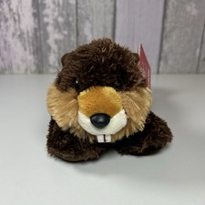Beaver Plush Aurora River Damn
