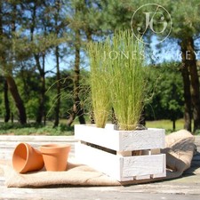 WHITE NARROW TROUGH WOODEN