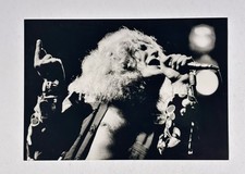 Robert Plant Photo Original