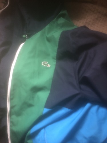 Lacoste navy blue and - blue,