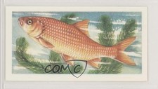 1973 Brooke Bond Freshwater
