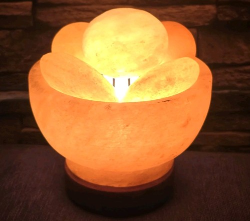 Himalayan salt lamp bowl - salt, lamp,
