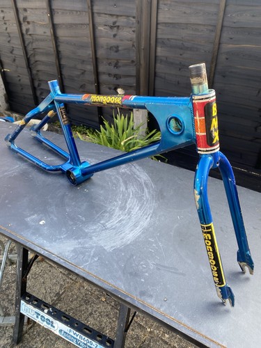 Team mongoose frame - mongoose,