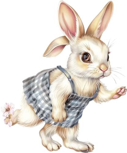 Watercolour peter rabbit - peter,