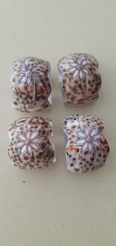 Vintage hand carved cowrie - carved,