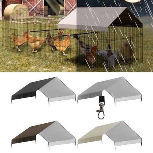 Backyard chicken farming - chicken,