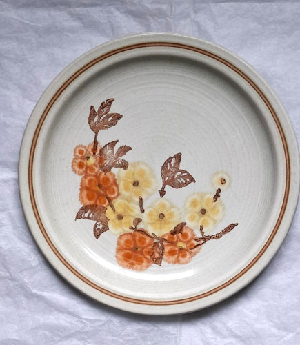 Dinner plate homespun - dinner,