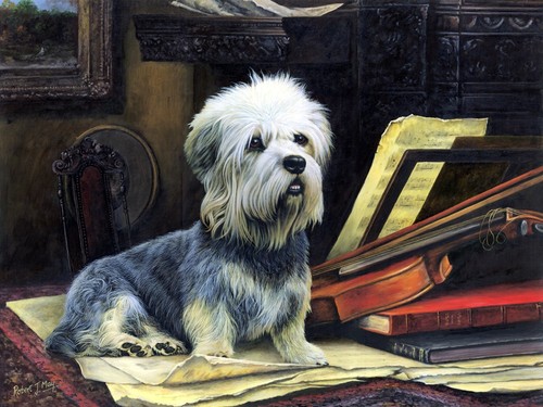 Ltd edition 150 dandie - of,