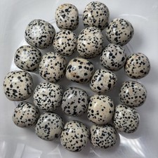500g Dalmatian Jasper Large