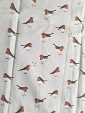 Sophie Allport Robin Bird on