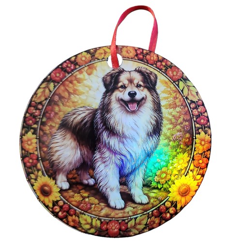 Pyrenean shepherd - pyrenean,