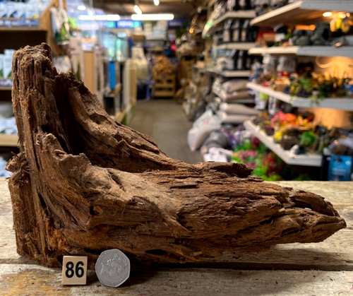 Medium natural bogwood - medium,