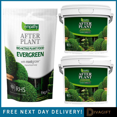 Empathy evergreen after plant - after,