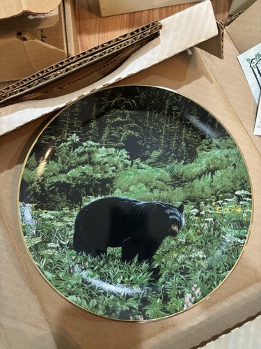 Black bear collectible - bear, plate