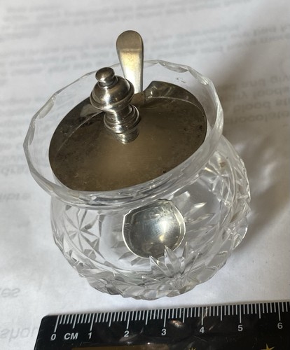 Silver plated mustard salt - mustard/,