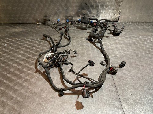 2024 5 petrol - 2024,