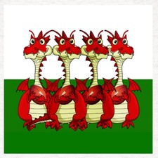 Sport-Welsh Rugby Dragon-