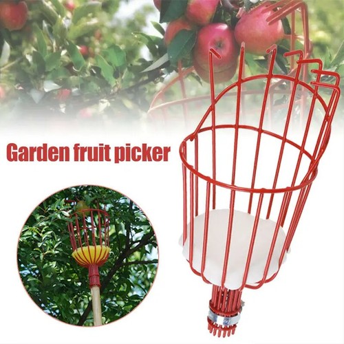 Deep basket fruit picker head