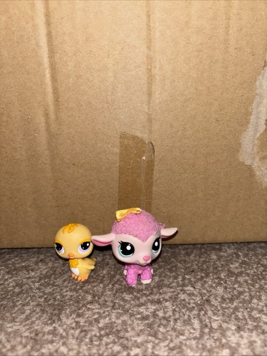 Littlest pet shop - shop, lamb