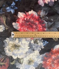 Hydrangea Italian Velvet