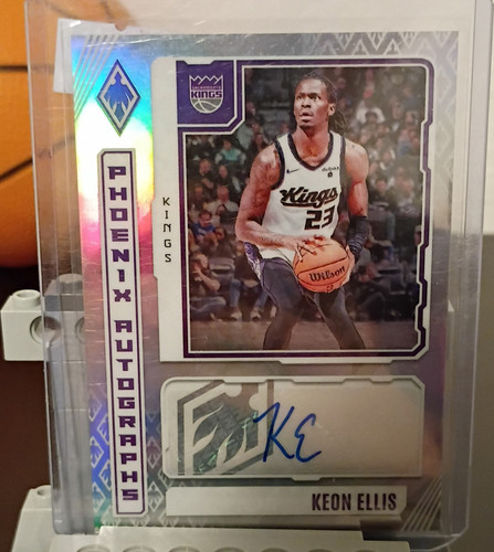 Panini phoenix 2023 - panini,