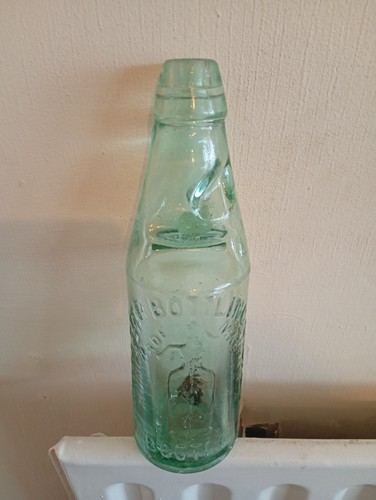 Large soda siphon pictoral - large,