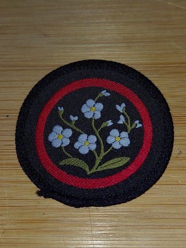 Girlguiding girl guides - girl,
