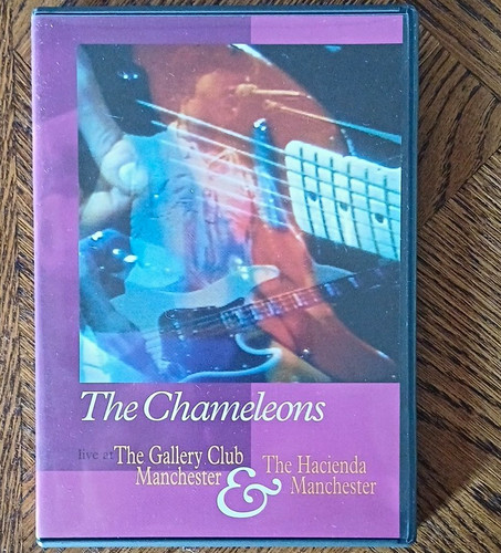 The chameleons live - live,