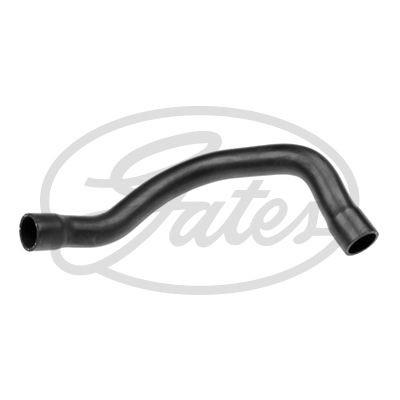 Radiator hose for - radiator,