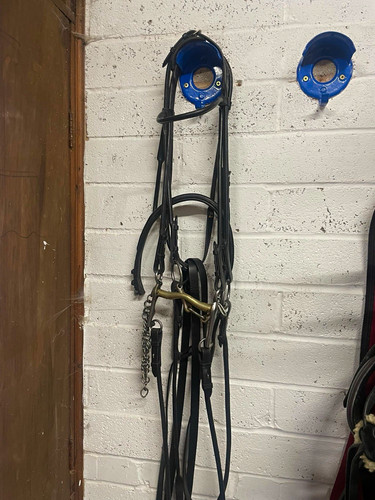 Black double bridle size full