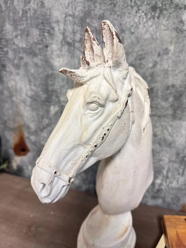 White horse head - white,
